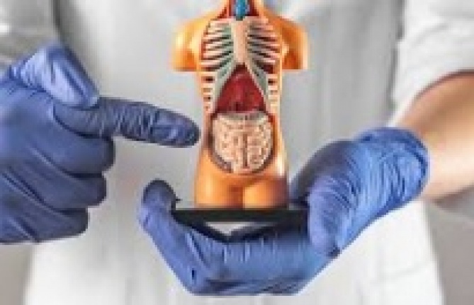 Gözden Kaçan Sinyaller: Genç Bir Ginekoloğun Kendi Evre 4 Kolon Kanserini Keşfetme Hikâyesi