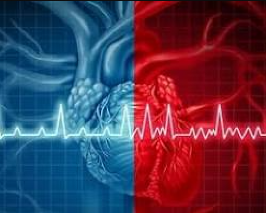 Sessiz Tehlike: Atriyal Fibrilasyon (AF) Felç Riskini Nasıl Beş Kat Artırıyor?