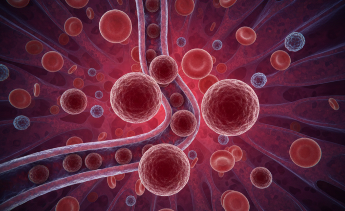 Kan Hücrelerinin Şekil Değiştiren Kaderi: Herediter Sferositoz Nedir?