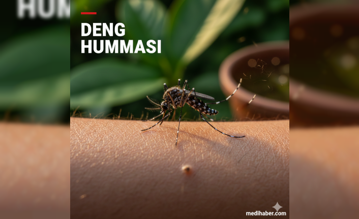 Tropikal Tehlike Kapıda mı: Deng Humması Hakkında Bilmeniz Gerekenler
