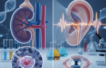 Böbrekleri ve Duyuları Etkileyen Gizemli Hastalık: Alport Sendromu Tedavisinde Son Adımlar