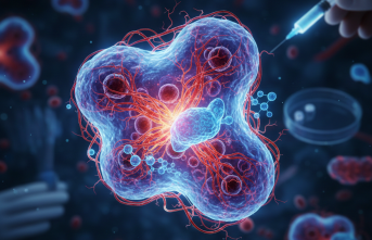 Gizemli Lenf Bezi Hastalığı: Castleman Sendromunda Son Umut Veren Tedaviler