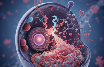 Nadir Bir Genetik Tablo: Lesch-Nyhan Sendromu