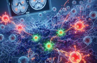 PML: Beyaz Maddenin Sinsi Düşmanı, Tedavideki Son Umutlar