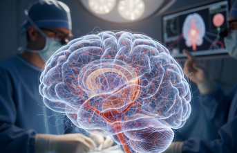 Beyin Damarlarında Sessiz Bir Daralma: Moyamoya