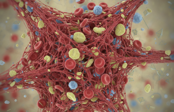 Kanın Durmayan Hikayesi: Hemofili ile Yaşamak