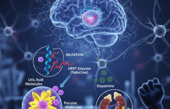 Nadir Bir Genetik Tablo: Lesch Nyhan Sendromu