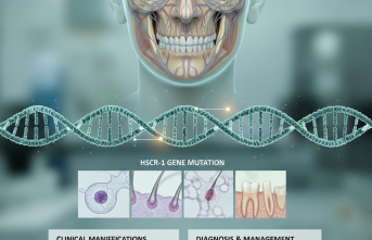 Nadir Bir Pencereden Bakmak: Hallerman Streiff