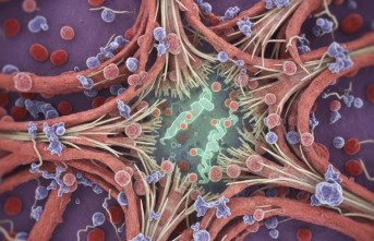 Nadir Görülen Harlequin Tipi İktiyozis Hakkında Bilinmesi Gerekenler