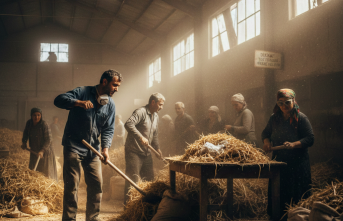 Şeker Kamışı İşçilerinde Gizli Tehlike: Bagassozis
