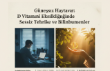 Güneşsiz Hayatlar: D Vitamini Eksikliğinde Sessiz Tehlike ve Bilinmeyenler