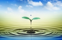 Aç karna su içmenin faydaları - Sabahları Su İçme Alışkanlığı