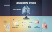  Akciğerlerin Gizemli Sertleşmesi: İdiyopatik Pulmoner Fibrözis'te Son Umut Veren Adımlar