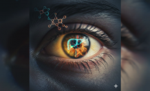 Gözlerdeki Sarı Işık: Bilirubin Yolculuğunda Neler Aksıyor?