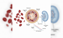 Mutfaktaki Görünmez Tehlike: HÜS