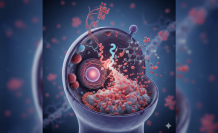 Nadir Bir Genetik Tablo: Lesch-Nyhan Sendromu