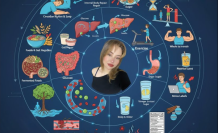 Everything About Insulin Resistance and Blood Suga