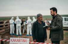 Görünmez Tehlike Şarbon: Merak Edilenler ve Gerçekler