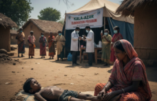 Kara Ölümün Gölgesi: Kala-azar'da (Viseral Leishmaniasis) Tarihi Gelişmeler ve Tedavide Son Durum