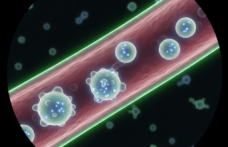 Küçük Vücutların Büyük Direnişi: Bruton Hastalığı