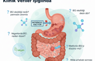 B12 Eksikliğinin Kökenine Dair : Klinik Veriler...