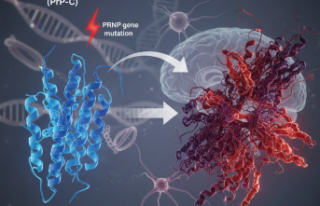Gizemli Beyin Hastalığı: Gerstmann-Sträussler-Scheinker...