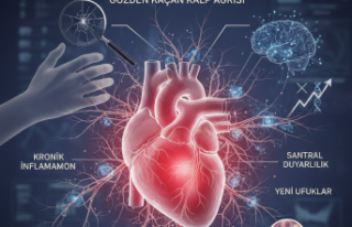 Gözden Kaçan Kalp Ağrısı: Mikrovasküler Anjina’da...