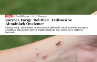 Karınca Isırığı: Belirtileri, Tedavisi ve Alınabilecek...