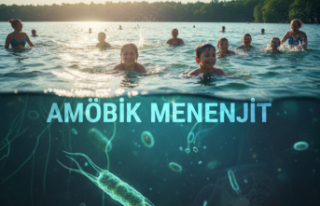 Amöbik Menenjit: Yaz Aylarında Gizlenen Korku ve...