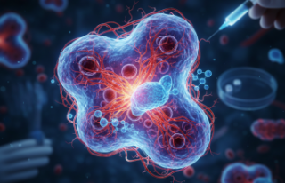 Gizemli Lenf Bezi Hastalığı: Castleman Sendromunda...