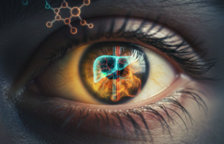 Gözlerdeki Sarı Işık: Bilirubin Yolculuğunda...