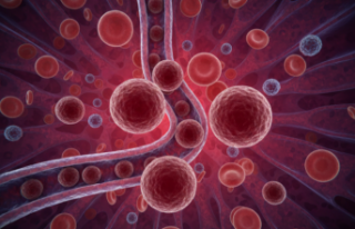 Kan Hücrelerinin Şekil Değiştiren Kaderi: Herediter...