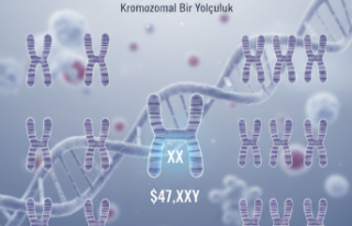 Kromozomal Bir Yolculuk: Klinefelter Sendromu ve Bilimin...