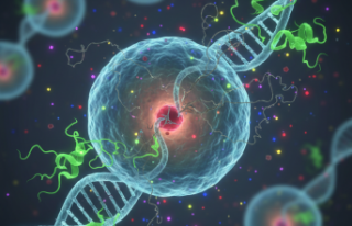 Aynadaki Nadir İz: Bloom Sendromu Nedir?