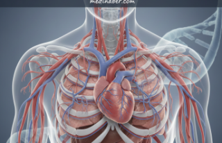 Damarlarda Görülmeyen Düğümler: Arteriyel Tortuozite