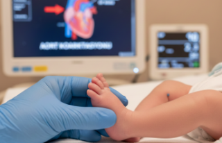 Doğumsal Kalp Hastalıklarında Aort Daralması Riski