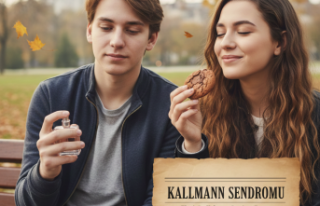 Eksik Bir Koku ve Geciken Zaman: Kallmann Sendromu