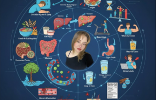 Everything About Insulin Resistance and Blood Suga