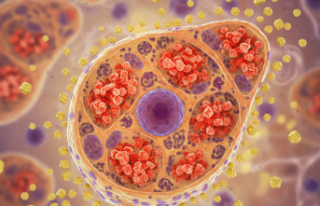 Görünmez Bir Düşman: Sarılığın En Nadir Hali