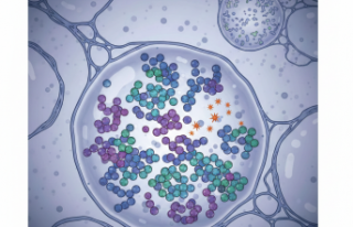 Schindler Hastalığı: Nadir Görülen Genetik Teşhisler...