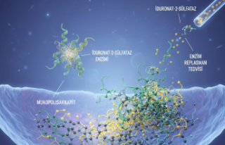 Sessizce İlerleyen Bir Genetik Labirent: Hunter Sendromu