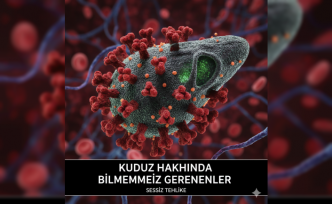 Sokaktaki Sessiz Tehlike: Kuduz Hakkında Bilmemiz Gerekenler