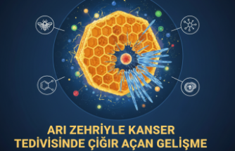 Bal Arısı Zehri Bileşeni Melittin: Onkolojide Hedeflenmiş Tedavilere Doğru Bilimsel İnceleme