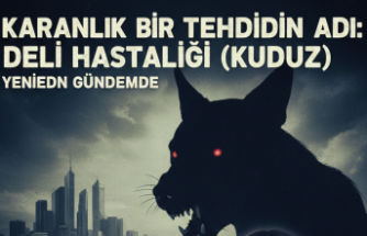 Karanlık Bir Tehdidin Adı: Deli Hastalığı (Kuduz) Yeniden Gündemde