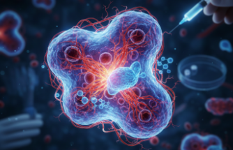 Gizemli Lenf Bezi Hastalığı: Castleman Sendromunda Son Umut Veren Tedaviler