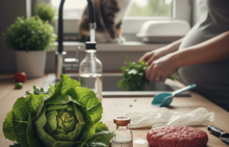 Görünmez Tehlike: Mutfaktaki ve Bahçedeki Gizli Misafir