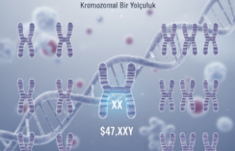 Kromozomal Bir Yolculuk: Klinefelter Sendromu ve Bilimin Işığında Yeni Ufuklar