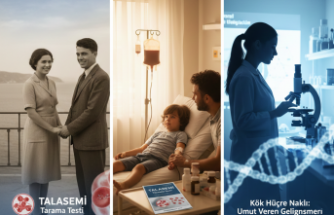 Sessiz Taşıyıcılığın Gölgesi: Talasemi Tehlikesi ve Ailevi Akdeniz Anemisi (Beta Talasemi)