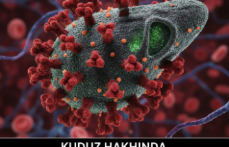 Sokaktaki Sessiz Tehlike: Kuduz Hakkında Bilmemiz Gerekenler