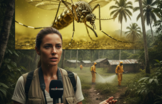 Tropik Ormanlardan Gelen Sessiz Tehlike: Sarı Humma